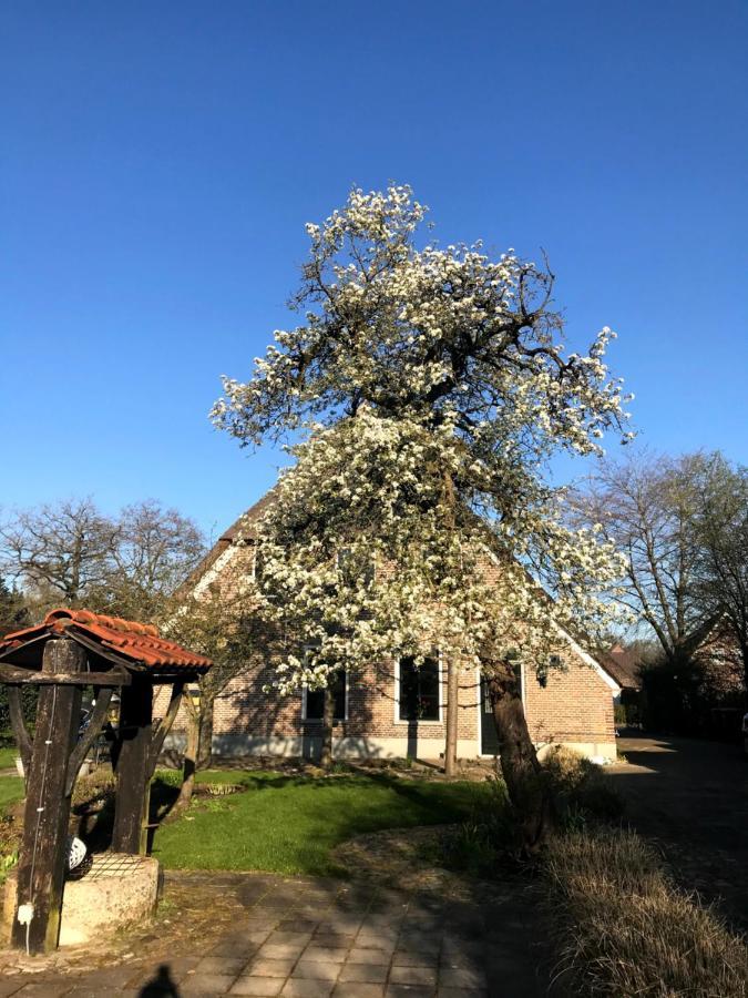 Villa In De Tuin In Gees Extérieur photo